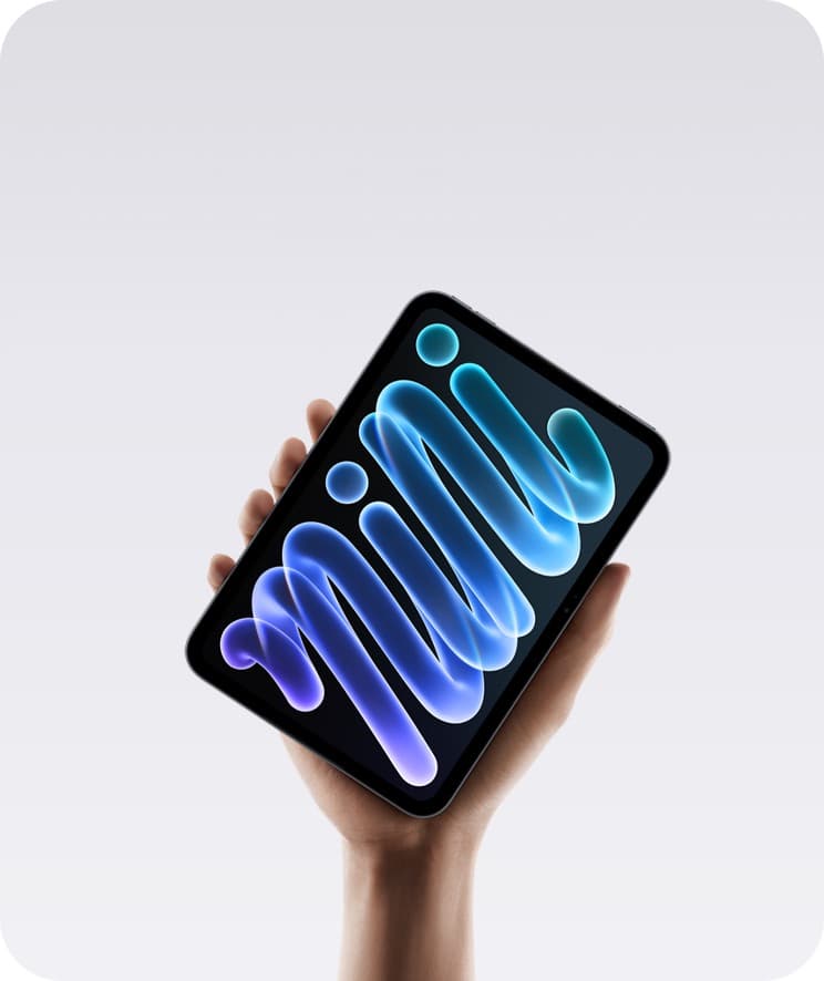 iPad mini tenuto in mano